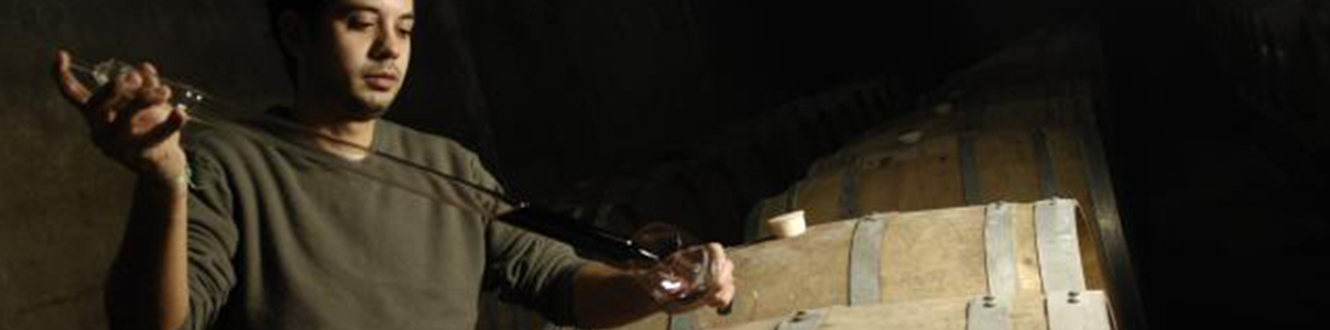 Produtor: Bodega Giménez Méndez