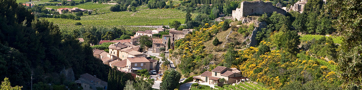 Produtor: Halos de Jupiter