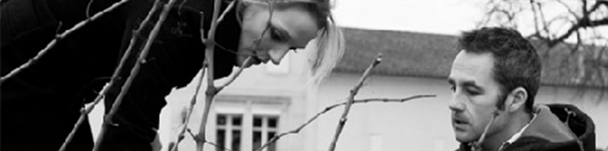 Produtor: Château Les Hauts-Conseillants