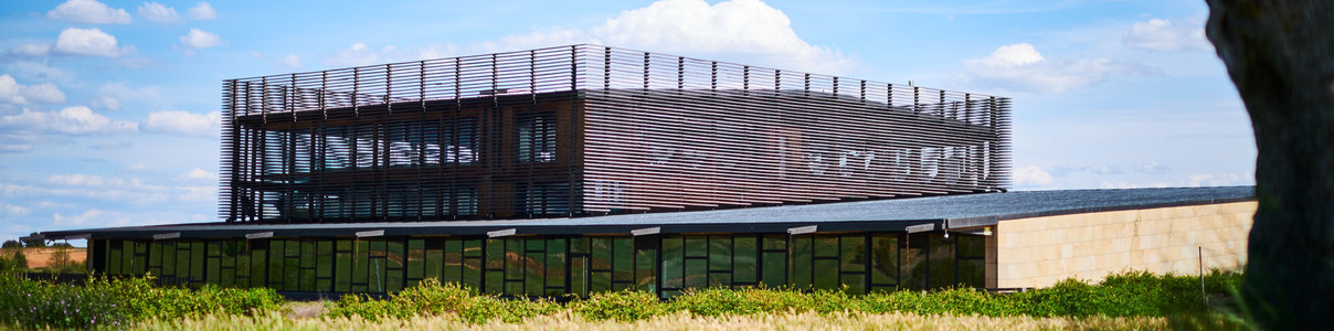 Produtor: Bodega Bela