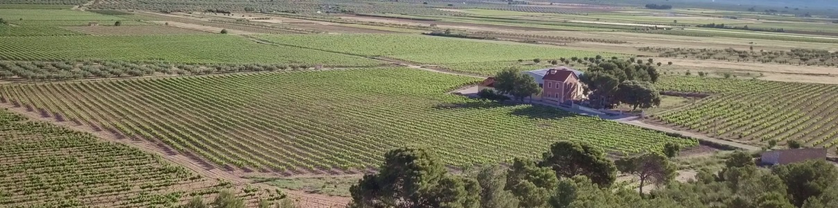 Produtor: Casa Balaguer