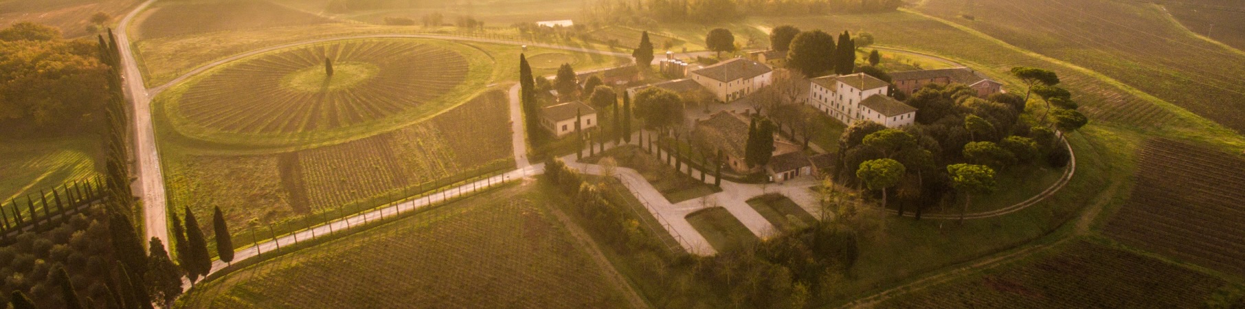 Produtor: Avignonesi 