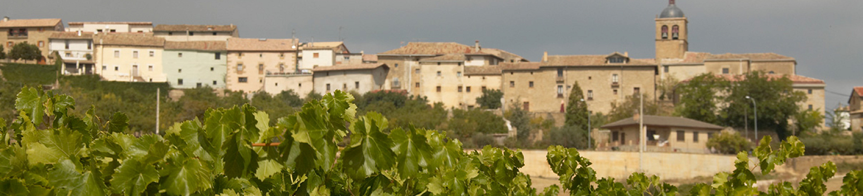 Bodegas y Viñedos Artazu