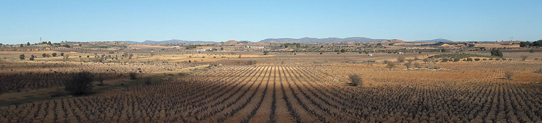 Panorámica de bodega