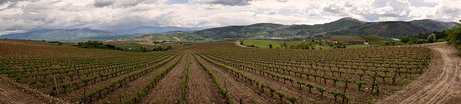 Bodega y Viñedos Luna Beberide