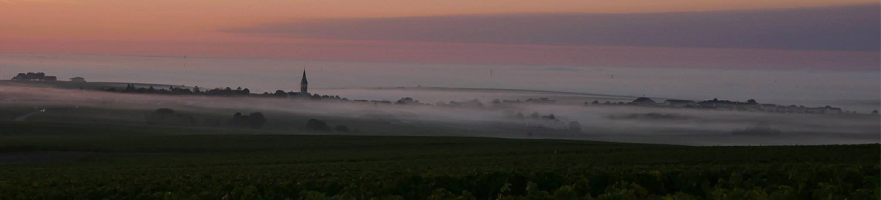 Champagnes Bonnaire