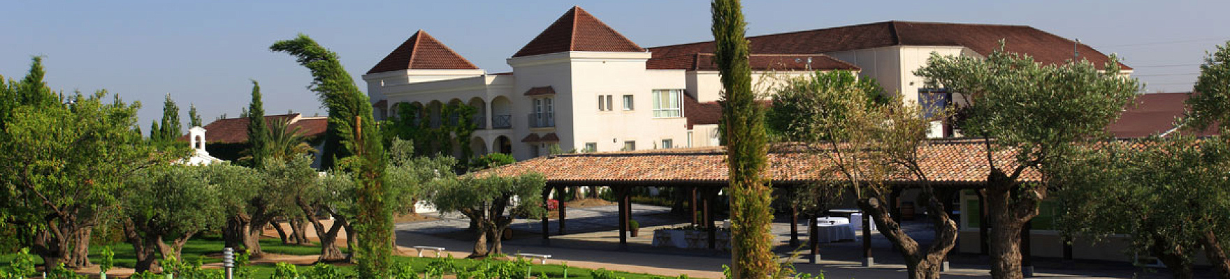 Bodegas y Viñedos Casa del Valle