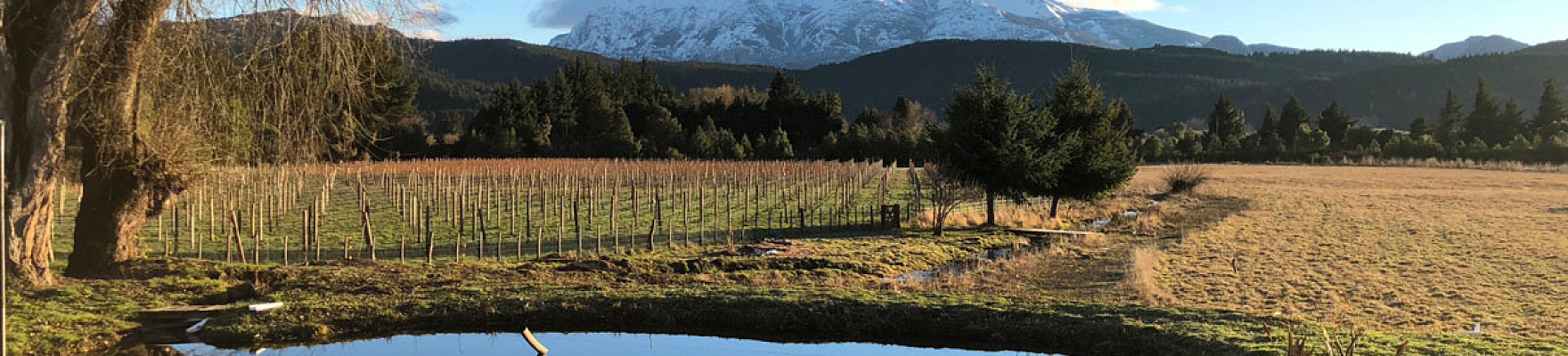 Paisaje patagónico en las inmediaciones de Casa Yague