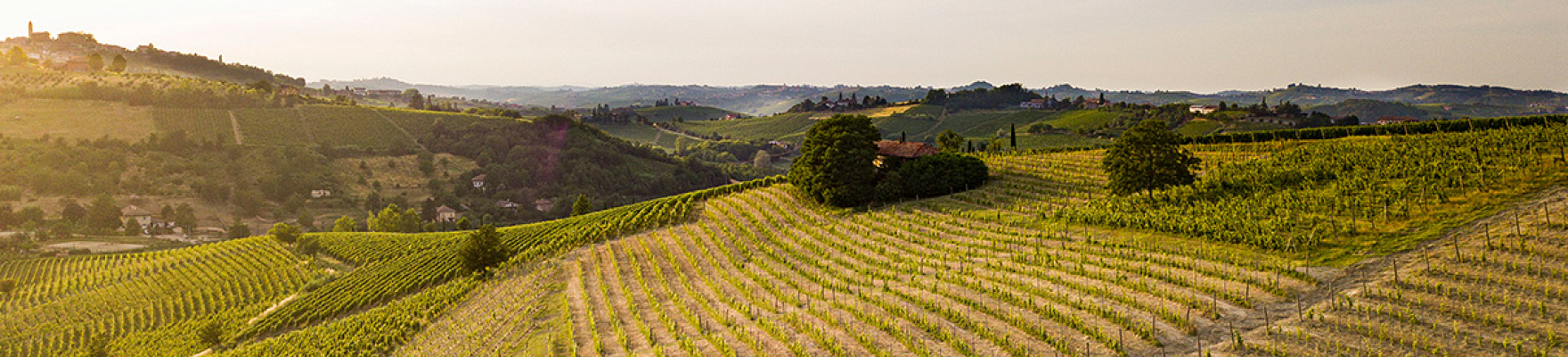 Cascina Valle Asinari