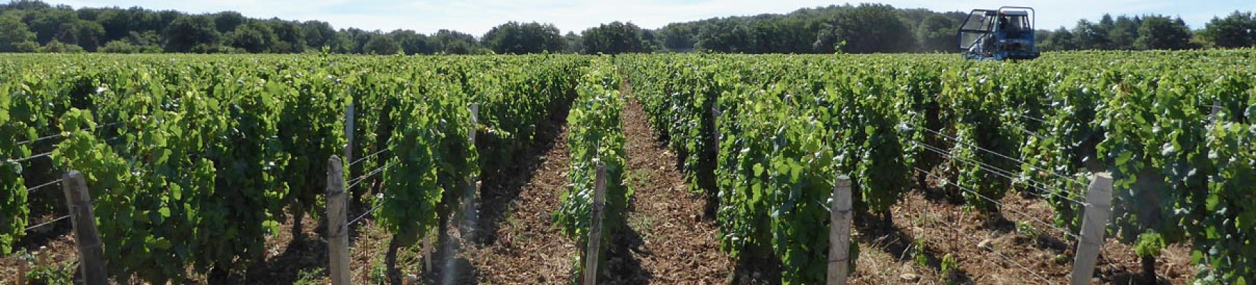 Domaine de la Jobeline