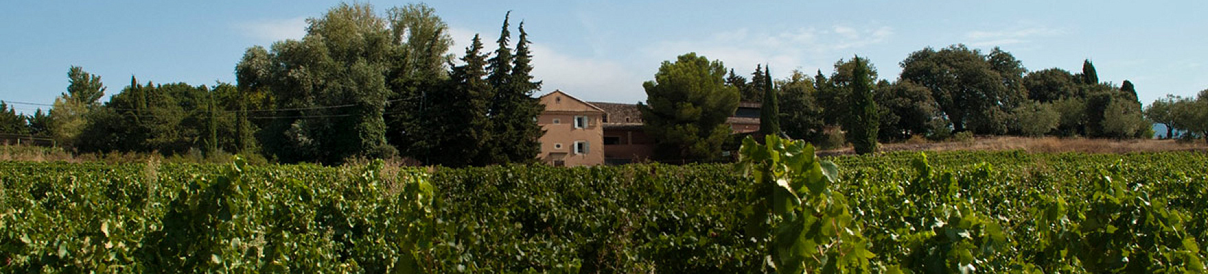 Domaine Gramenon