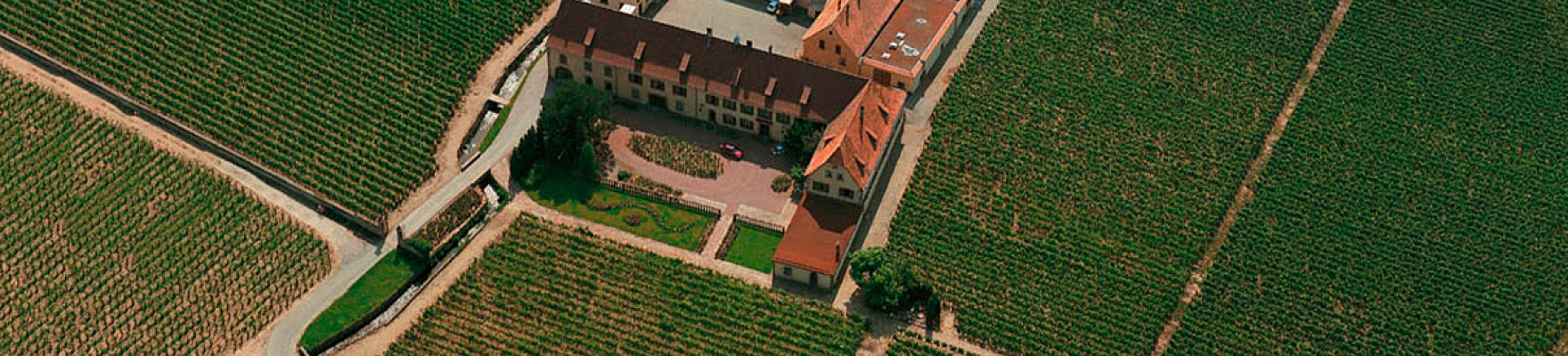 Domaine Weinbach