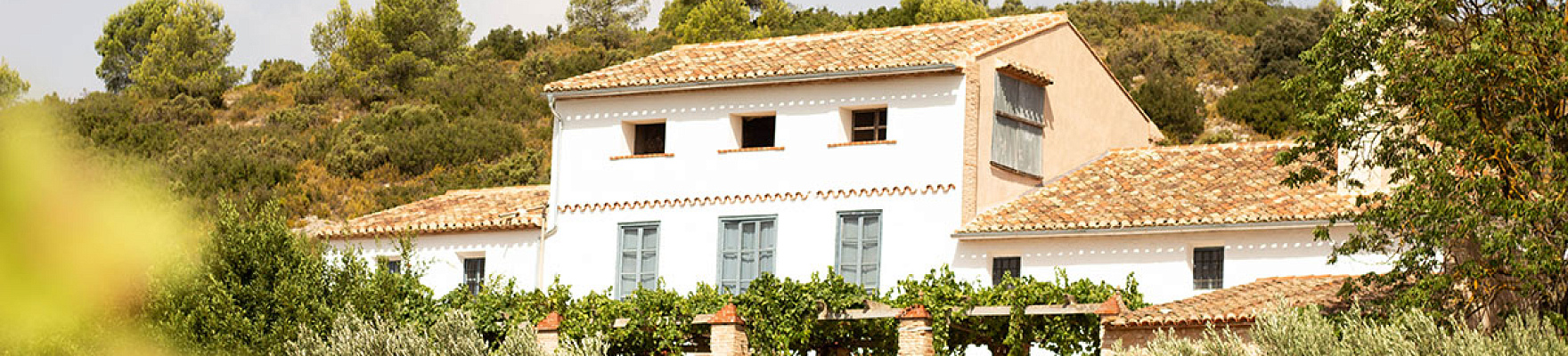 Bodegas Enguera