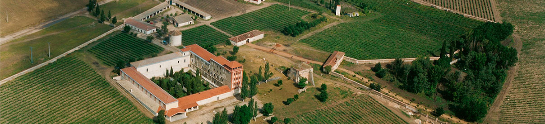 Bodegas y Viñedos La Mejorada