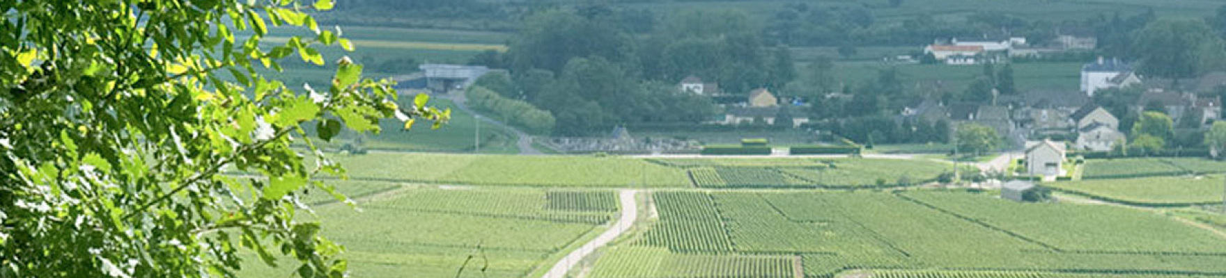 Domaine Leflaive