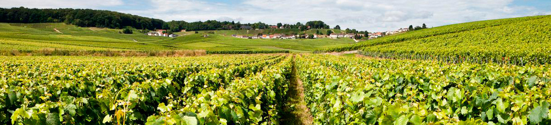 Domaine Pommery