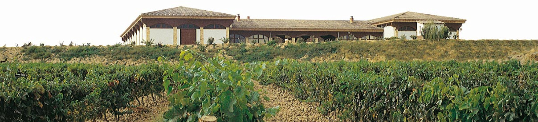 Bodegas Ondarre