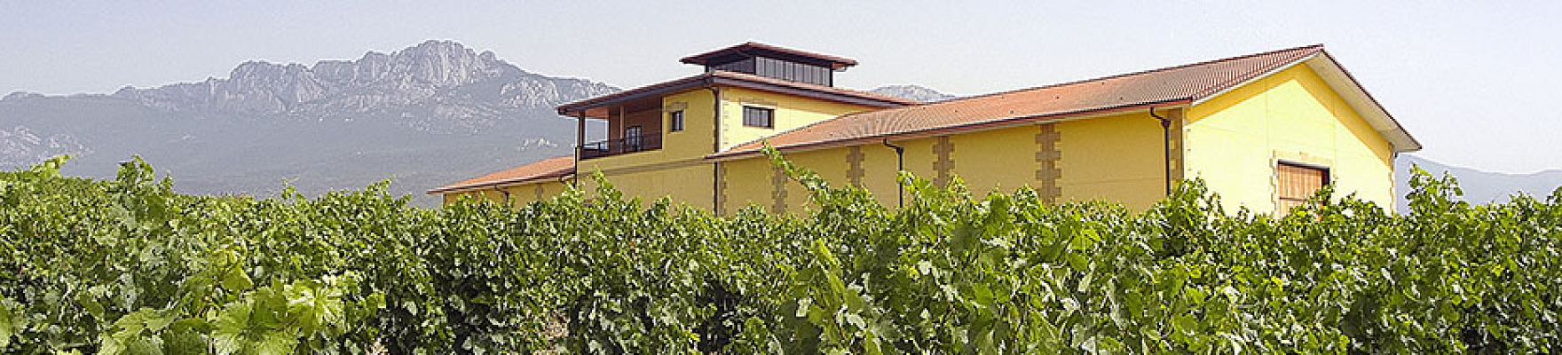 Bodegas y Viñedos Pujanza