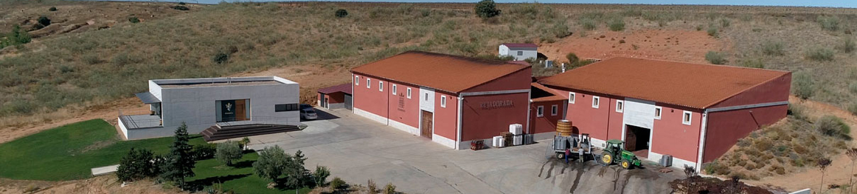 Bodega Rejadorada