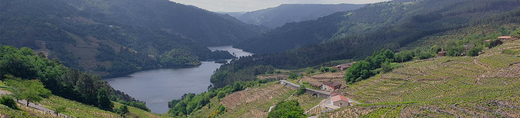 Bodegas Santa María de Nogueira