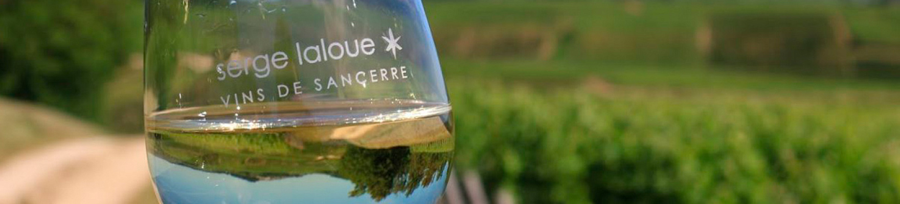 Copa de vino del Domaine Serge Laloue