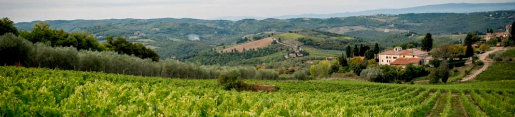 Tenuta Casenuove