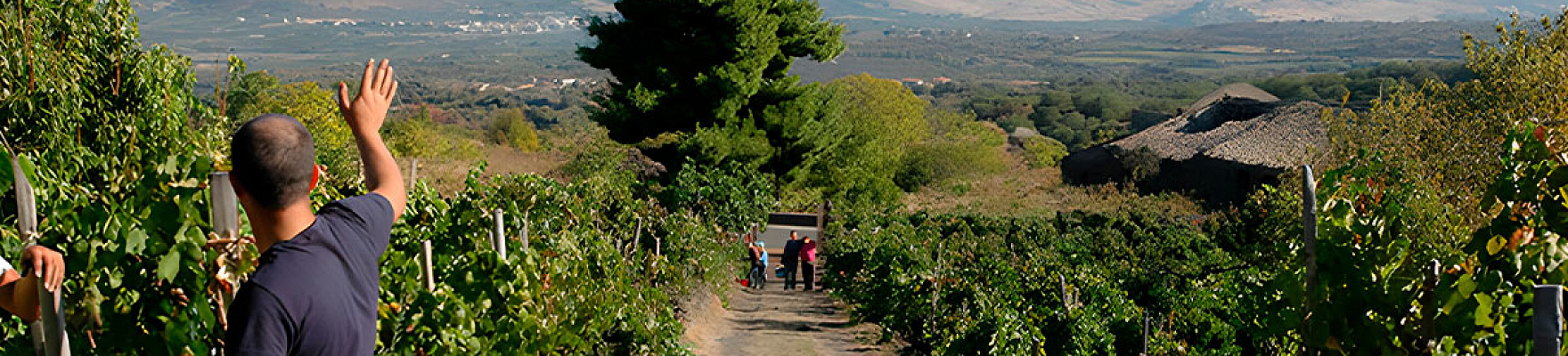 Tenuta delle Terre Nere