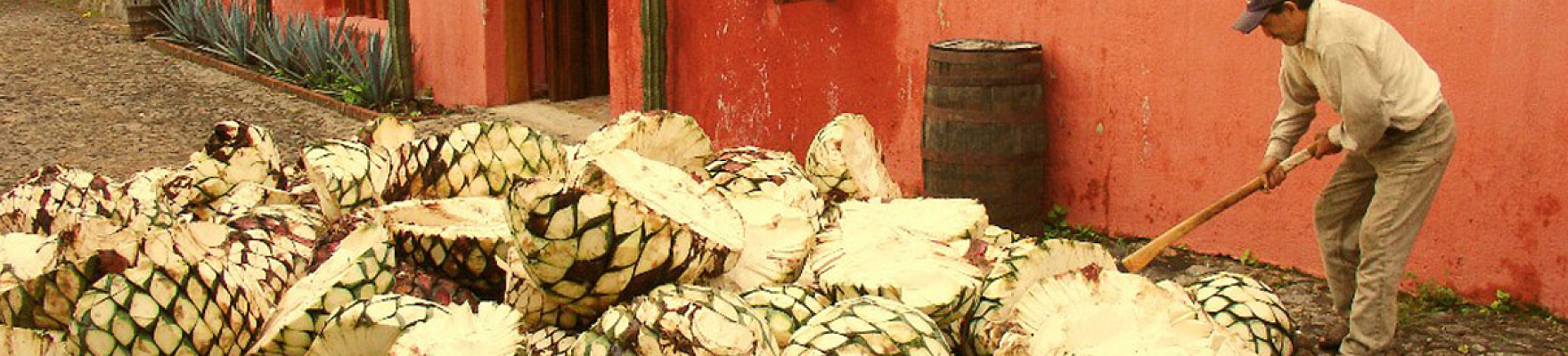 Tequila Fortaleza