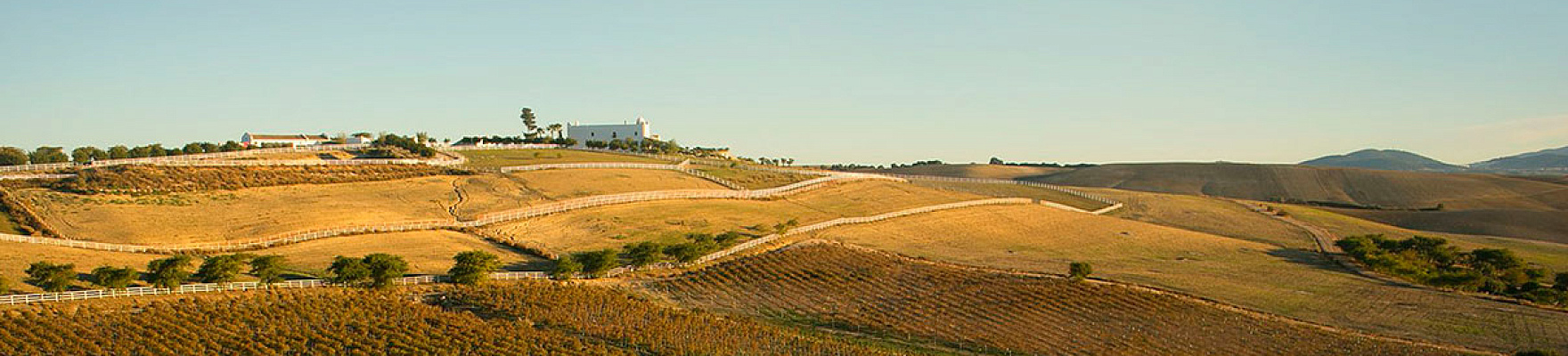 Bodegas Tesalia