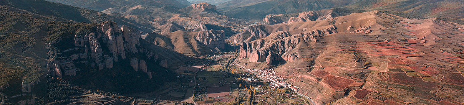 Vinos del Panorámico