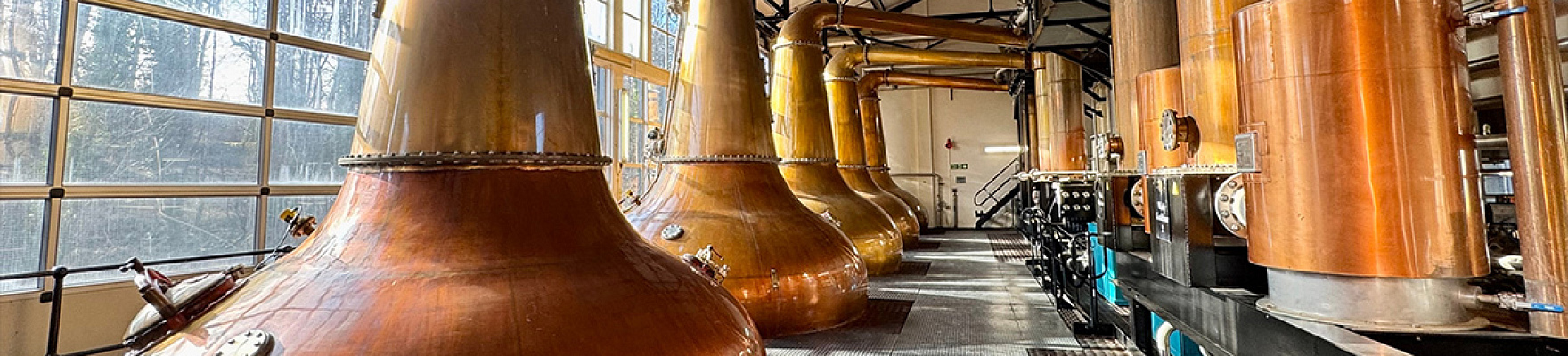 Produtor: Gruppo Caffo 1915