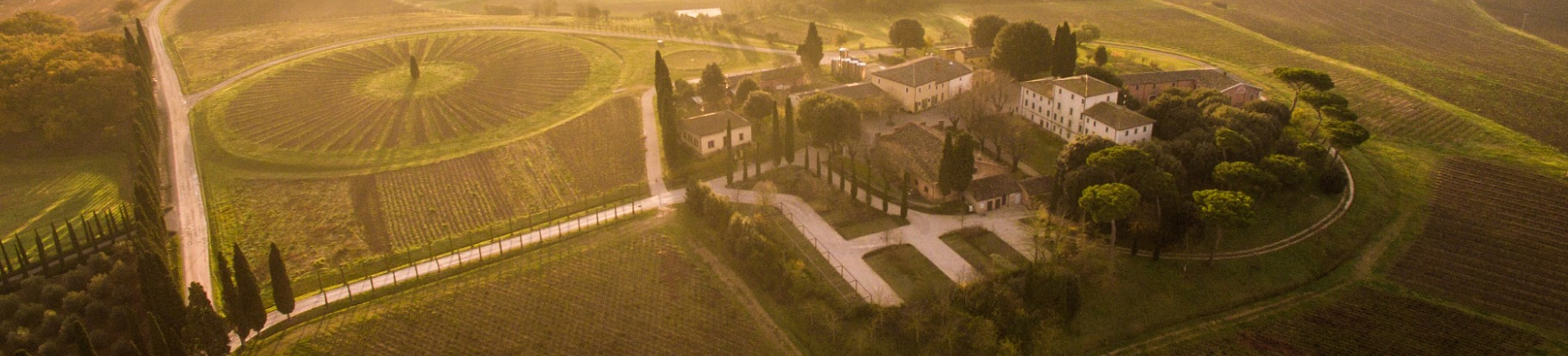Produtor: Avignonesi 