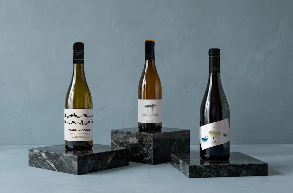 Vinhos de la adega Grandes Pagos Gallegos