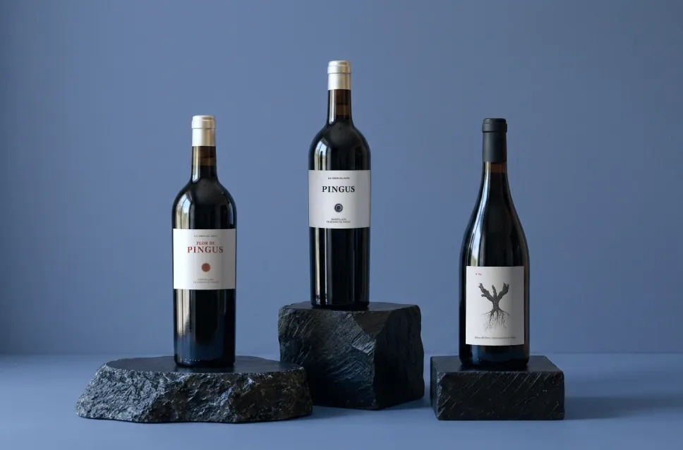 Garrafas de vinho da adega Dominio de Pingus
