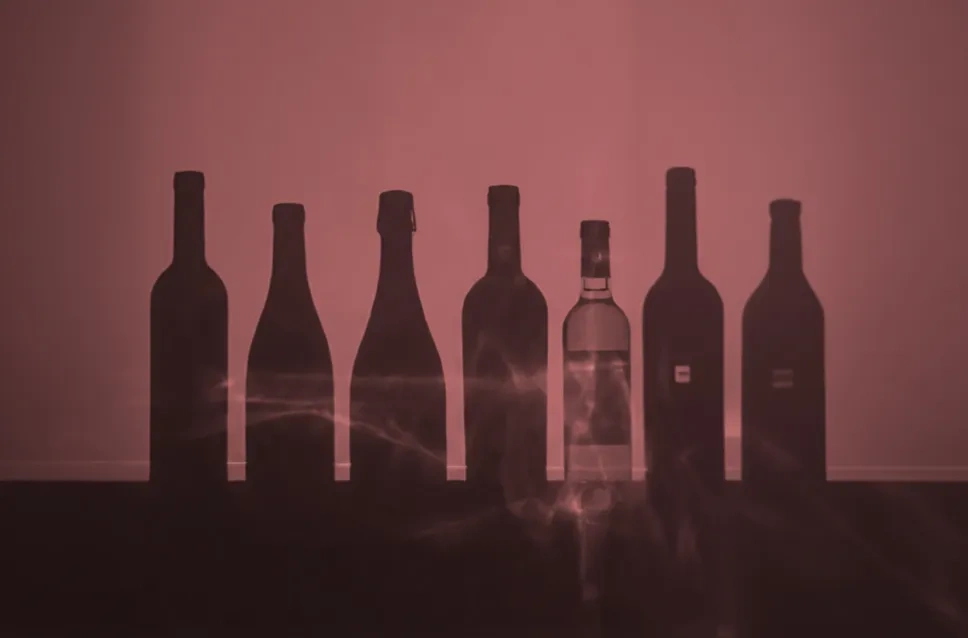 Garrafas de vinho únicas com -15%