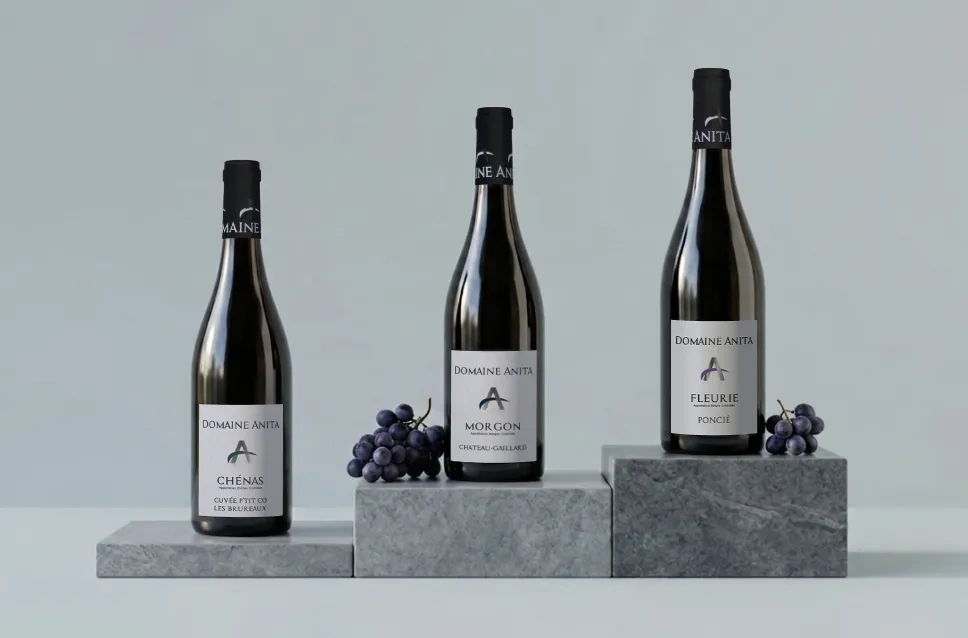 Garrafas de vinho da adega Domaine Anita