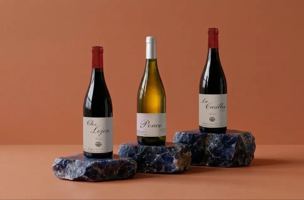 Garrafas de vinho da adega Ponce