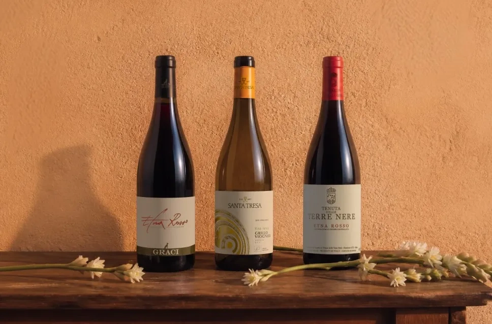 Garrafas de vinho da Sicília com desconto