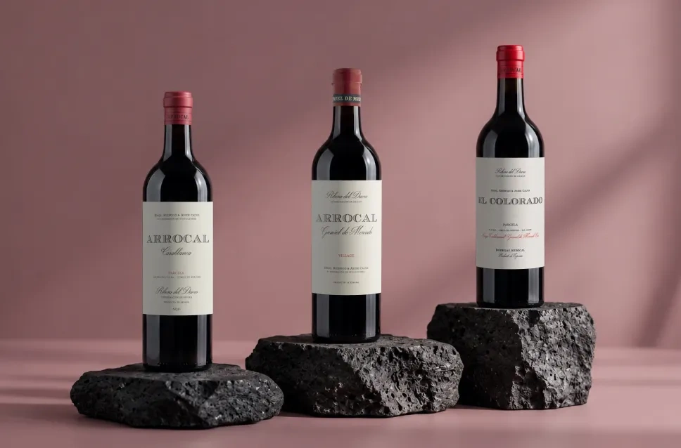 Garrafas de vinho da adega Arrocal