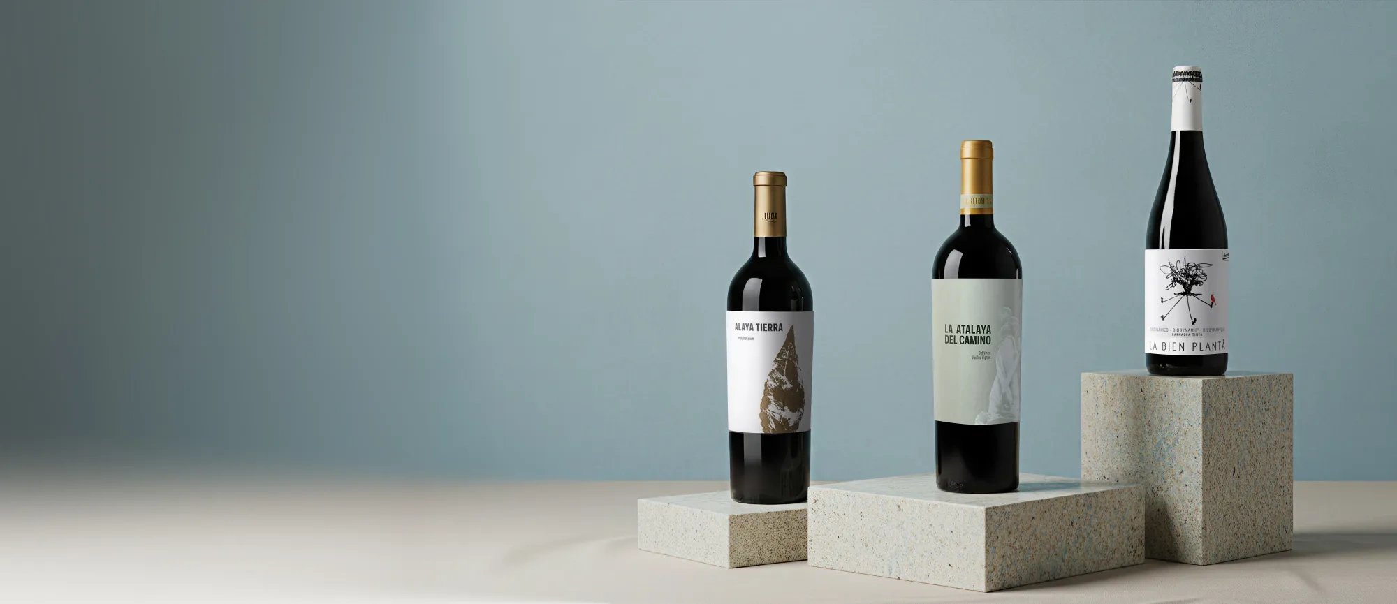 Vinhos de la adega Atalaya