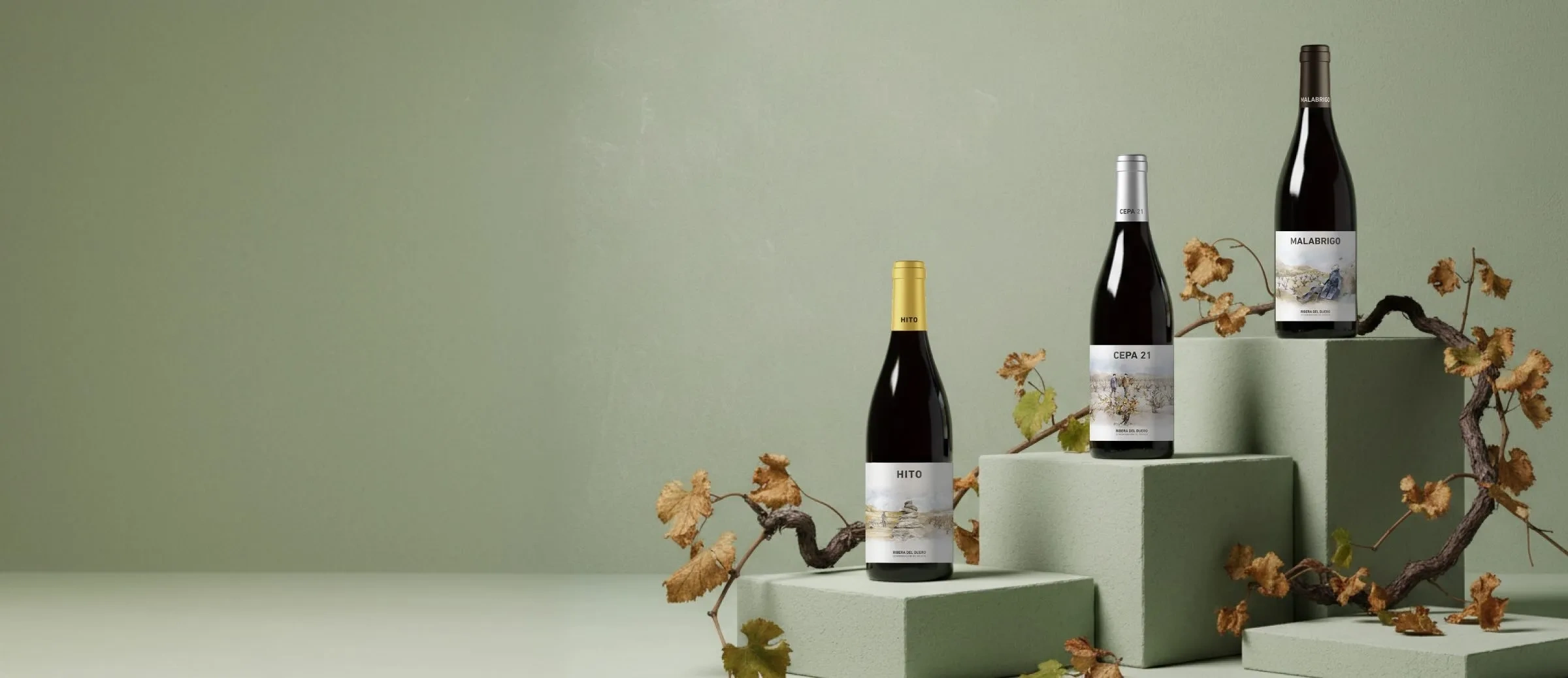 Vinhos de la adega Cepa 21