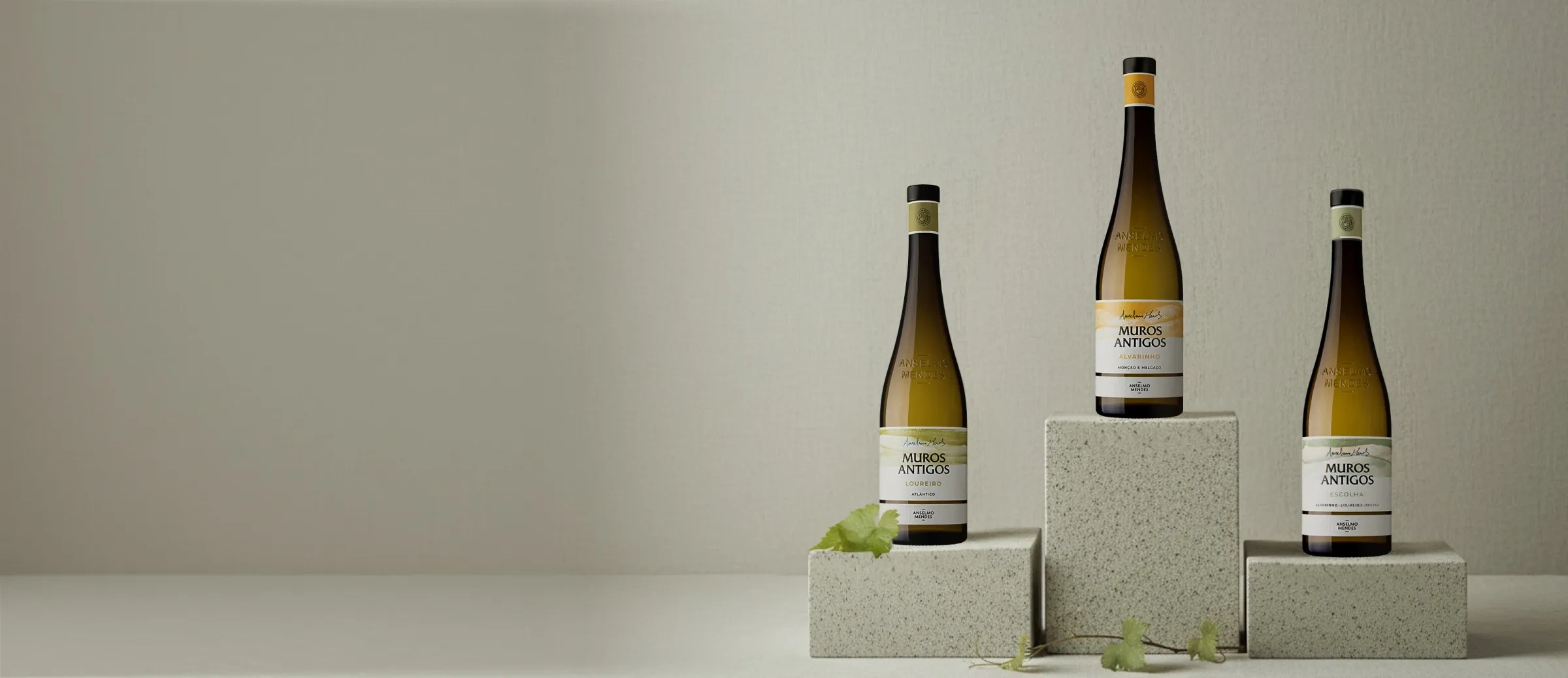 Vinhos de la adega Anselmo Mendes