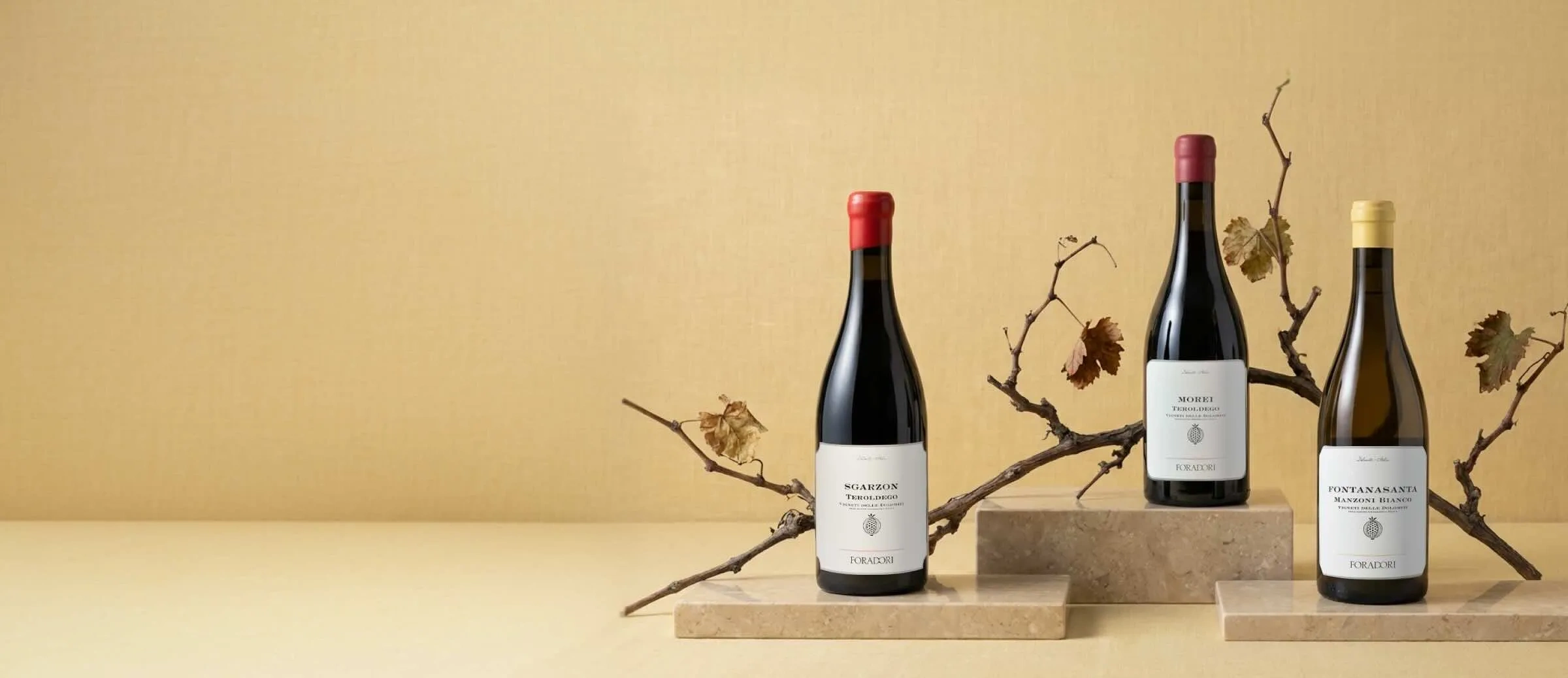 Vinhos de adega Elisabetta Foradori