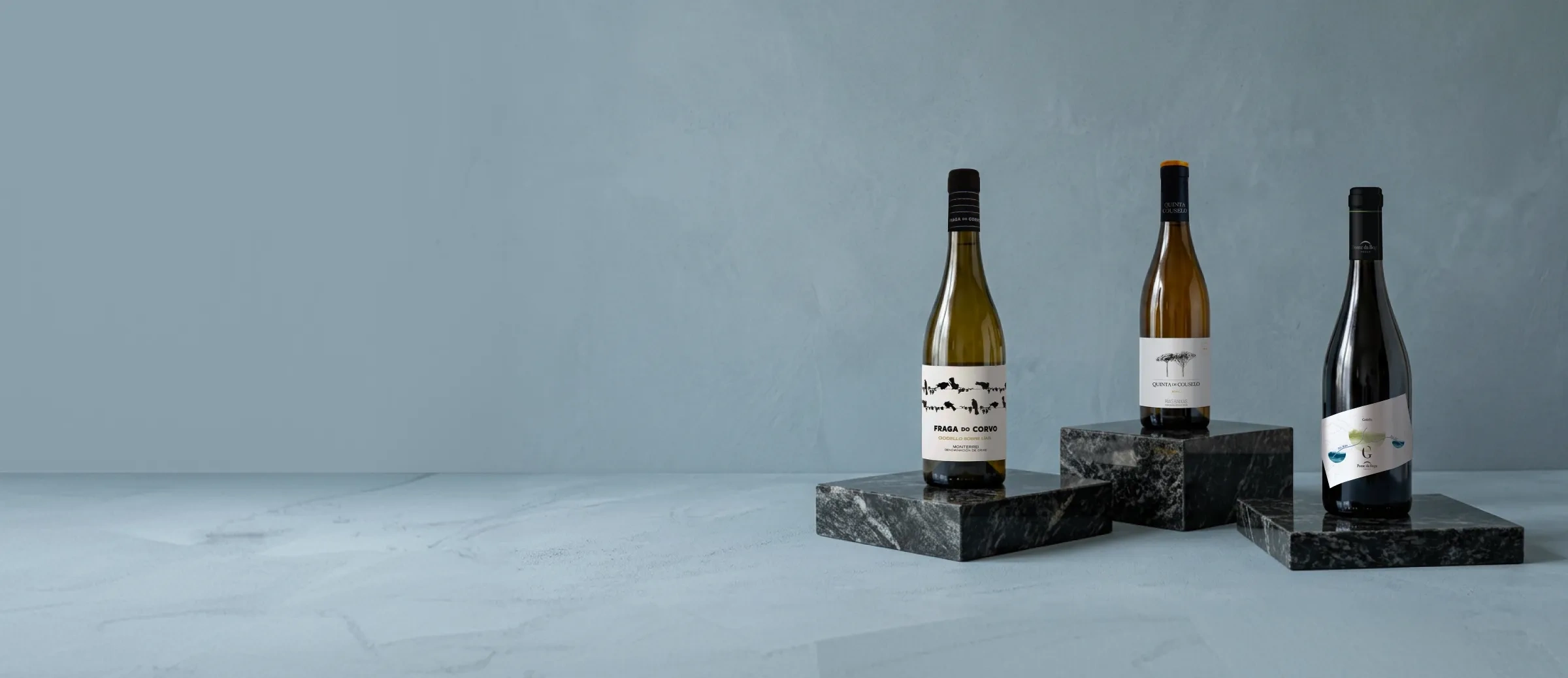 Vinhos de la adega Grandes Pagos Gallegos