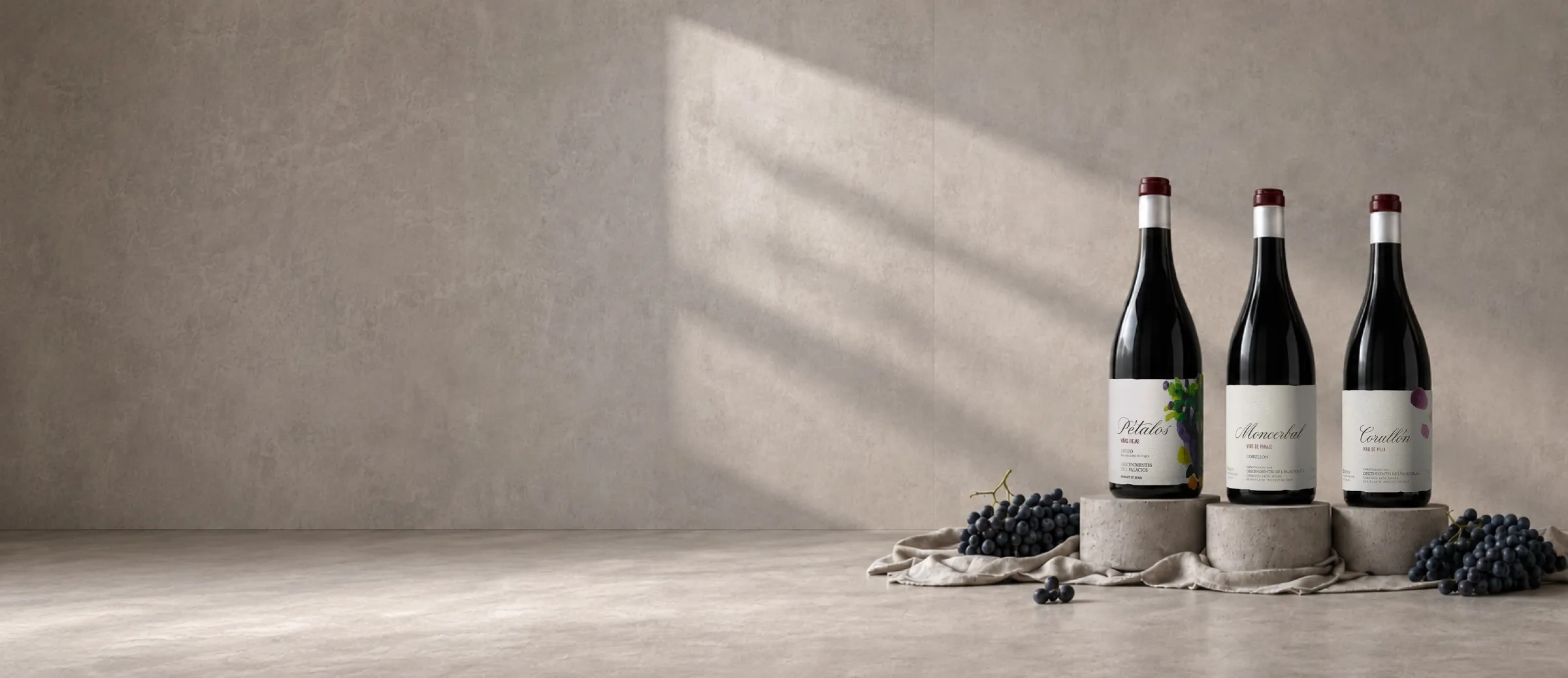 Garrafas de vinho da adega Descendientes J. Palacios