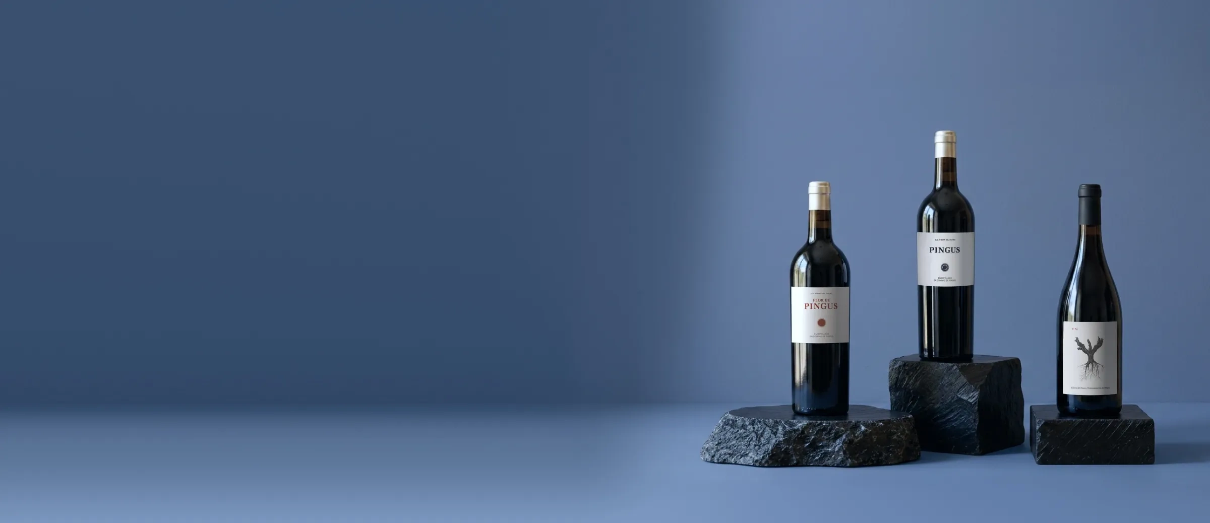 Garrafas de vinho da adega Dominio de Pingus