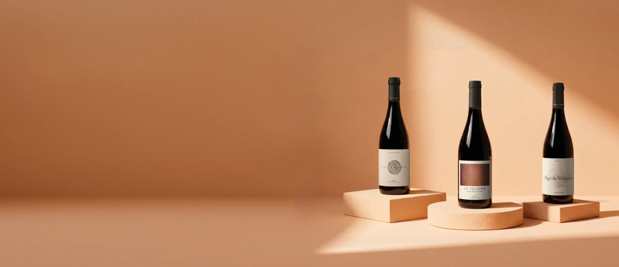 Garrafas de vinho da adega Vinos Valtuille