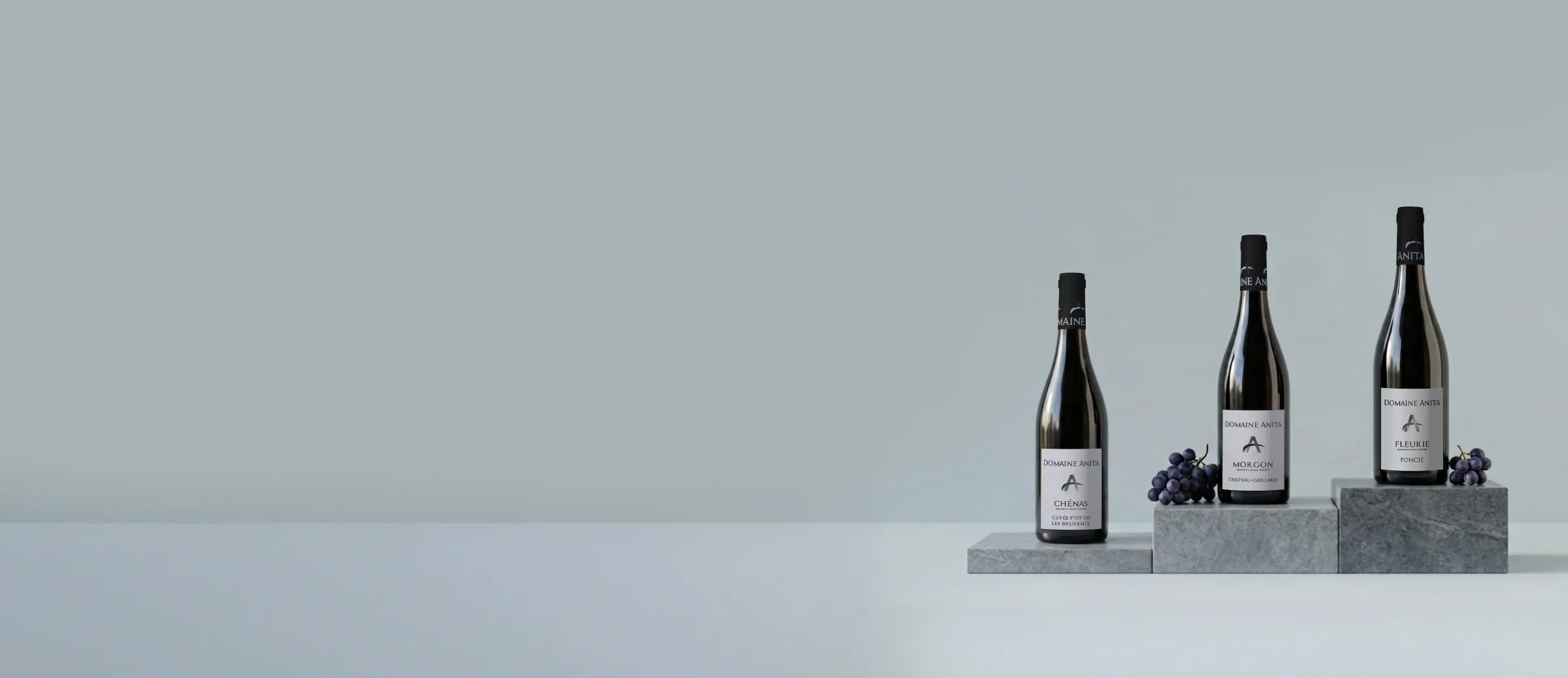 Garrafas de vinho da adega Domaine Anita