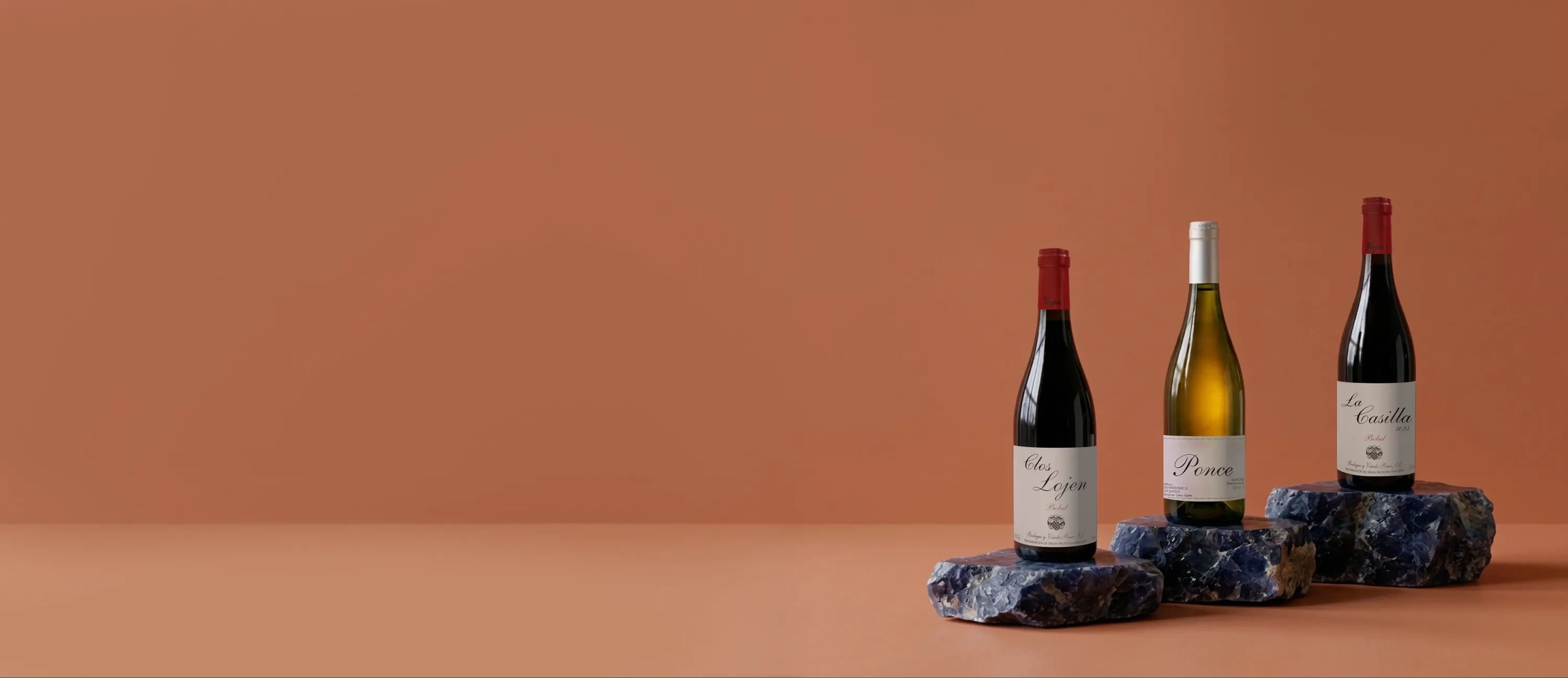 Garrafas de vinho da adega Ponce