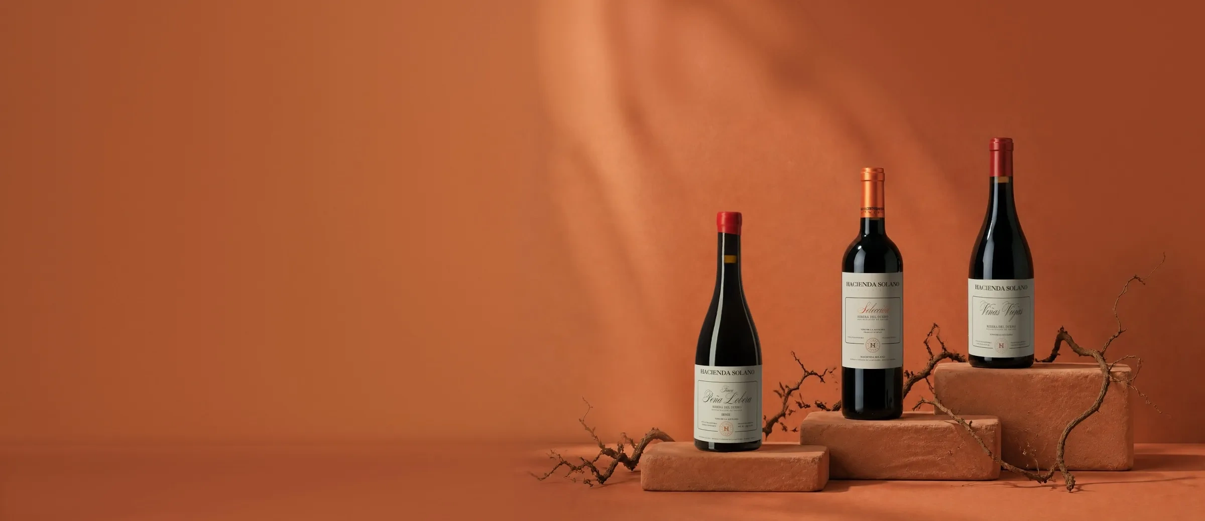 Garrafas de vinho da adega Hacienda Solano
